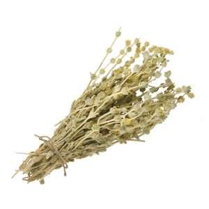 Μαλοτήρα Κρήτης BIO