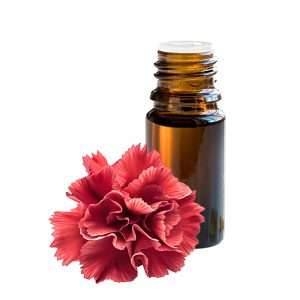 Αιθέριο έλαιο γαρύφαλλου 5ml σε γυάλινο φιαλίδιο – φυσικό αντισηπτικό αιθέριο έλαιο