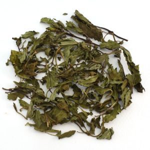 Μέντα φύλλα Αιγύπτου για τσάι