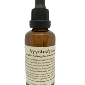 aggeliki-vamma-fytiki-therapeia