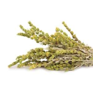 Τσάι Βουνού (Ολύμπου)