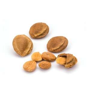 Apricot kernels (bitter) BIO