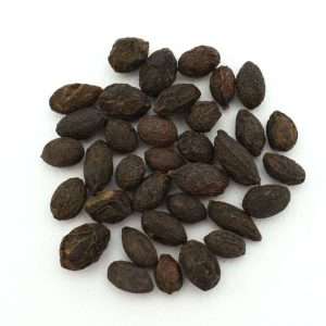 Σερενόα Saw Palmetto αποξηραμένο βότανο 50gr