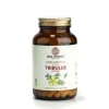 Bio Tonics Bio Tribulus 400mg 60 κάψουλες - Φυσικό συμπλήρωμα για τεστοστερόνη και αντοχή