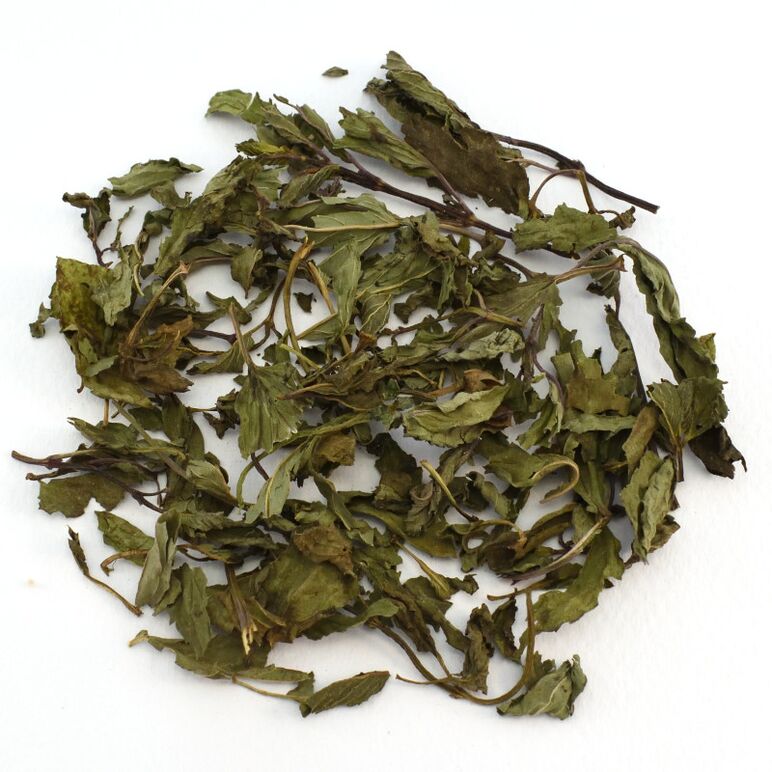 Μέντα φύλλα Αιγύπτου για τσάι